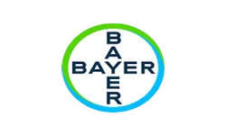 Bayer